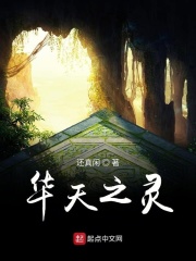 华天之灵章节列表