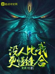 没人比我更懂缝合章节列表