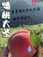蟠桃大圣章节列表