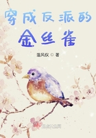 穿成反派的金丝雀章节列表