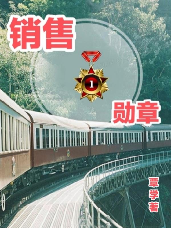 销售勋章章节列表
