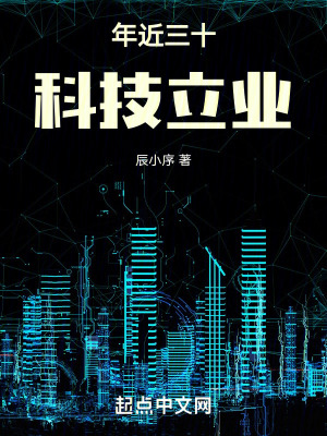 年近三十，科技立业章节列表