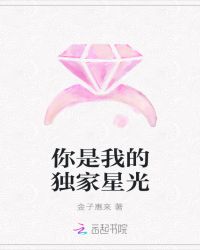 你是我的独家星光章节列表