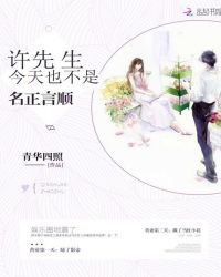 许先生今天也不是名正言顺章节列表