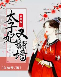 启奏殿下，太子妃又翻墙章节列表