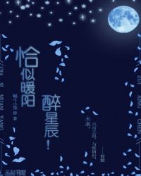 恰似暖阳醉星辰章节列表