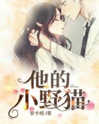 他的小野猫章节列表