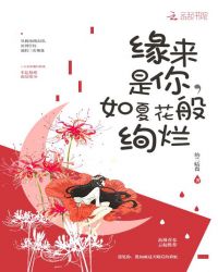 缘来是你，如夏花之绚烂章节列表