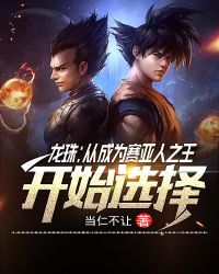 龙珠：从成为赛亚人之王开始选择章节列表