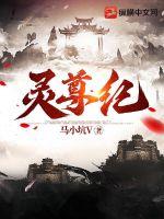 灵尊纪章节列表