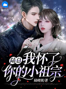 陆总，我怀了你的小祖宗章节列表