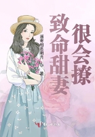 致命甜妻很会撩章节列表
