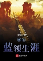 我的蓝领生涯章节列表