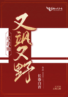 反派她又飒又野章节列表