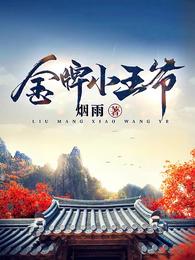 金牌小王爷章节列表