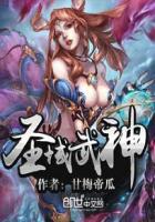圣域武神章节列表