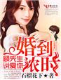 婚到浓时，顾先生说爱你章节列表