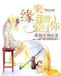 缘来我曾爱过你章节列表