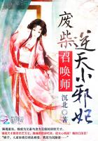 废柴召唤师：逆天小邪妃章节列表