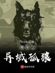 悍卒之异域孤狼章节列表