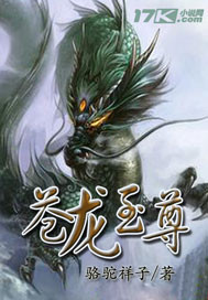 苍龙至尊章节列表
