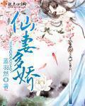 仙妻多娇章节列表