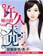 杨小姐，许久未见章节列表