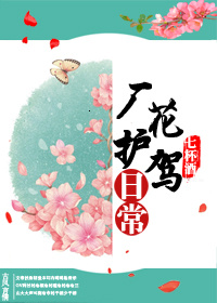 厂花护驾日常章节列表