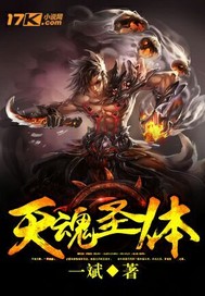 天魂圣体章节列表