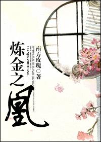 炼金之凰章节列表