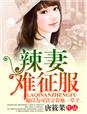 辣妻，难征服章节列表