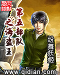第五部队之海盗王章节列表