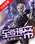 至尊神帝章节列表