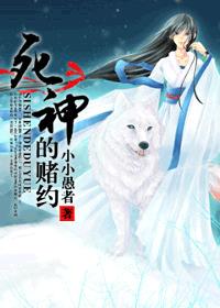 死神的赌约章节列表
