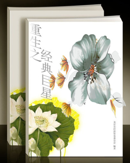 重生之经典巨星章节列表
