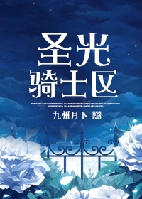 圣光骑士区章节列表