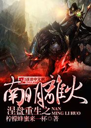 涅盘重生之南明离火章节列表