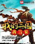 我的三国我当家章节列表