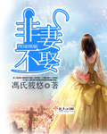 非妻不娶章节列表