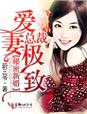 总裁的新婚爱妻章节列表