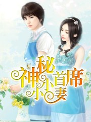 神秘首席小小妻章节列表