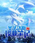 圣法洛斯授业笔记章节列表