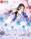 我有一颗阴阳珠章节列表
