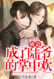 被迫成了陆爷的掌中欢章节列表