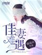 佳妻难遇章节列表