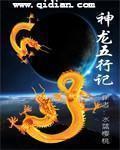 神龙五行记章节列表