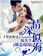 婚意绵绵，陆先生情深似海章节列表