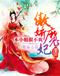 傲娇魔妃：本小姐很不爽章节列表