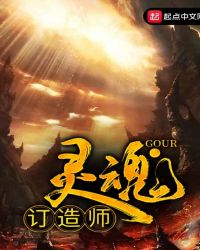 灵魂订造师章节列表