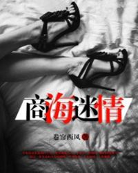 商海迷情章节列表